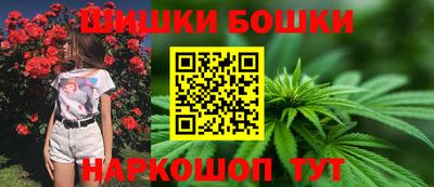 индика Жуковский
