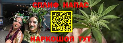индика Жуковский