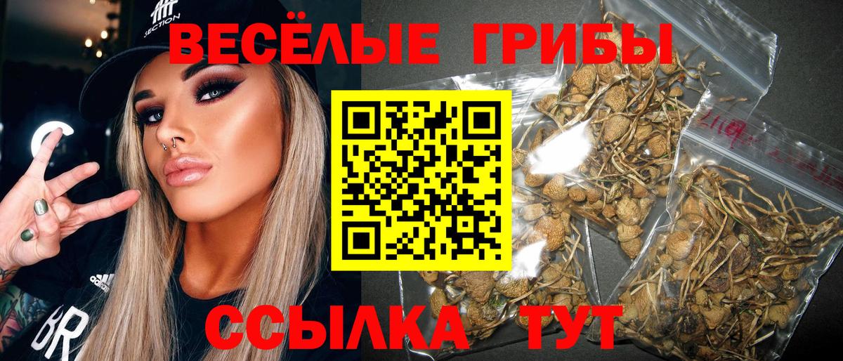 Псилоцибиновые грибы Psilocybine cubensis Людиново