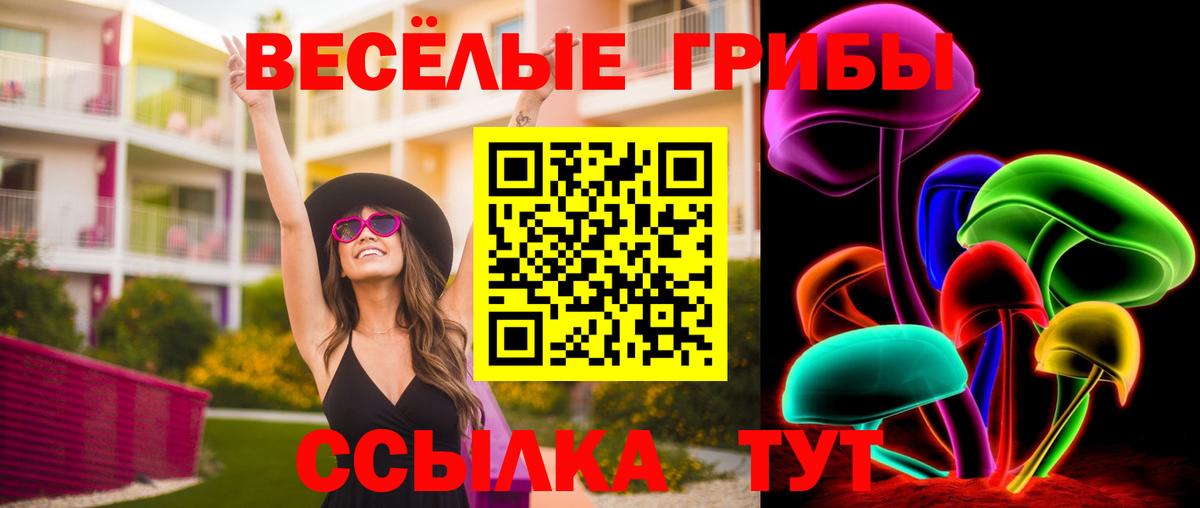 Галлюциногенные грибы прущие грибы  Вход с VPN  Людиново 